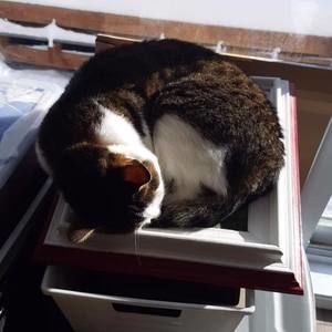 Meet your Posher, Élodie